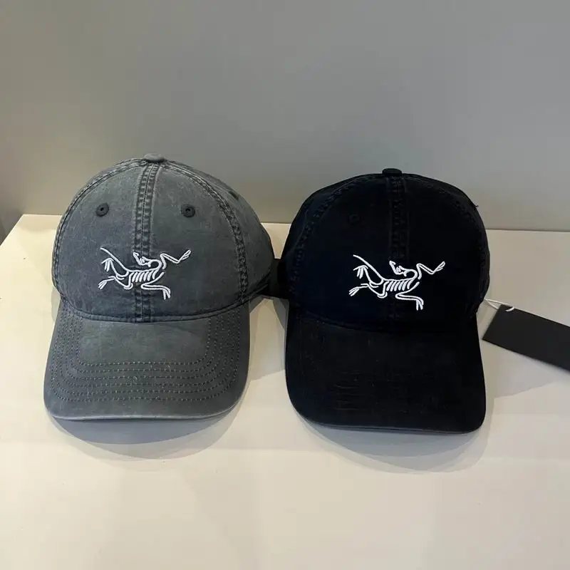 Arcteryx cap dx25